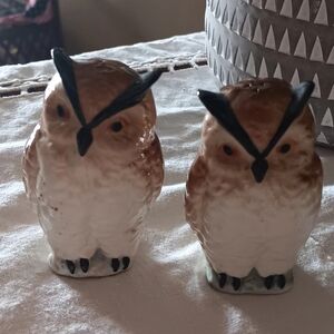 Ceramic Owl Salt and Pepper Shakers - Brown and White